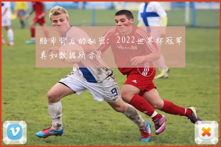 赔率背后的秘密：2022世界杯冠军真如数据所示？