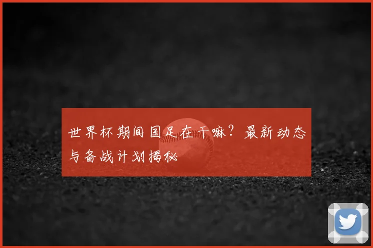 世界杯期间国足在干嘛?最新动态与备战计划揭秘
