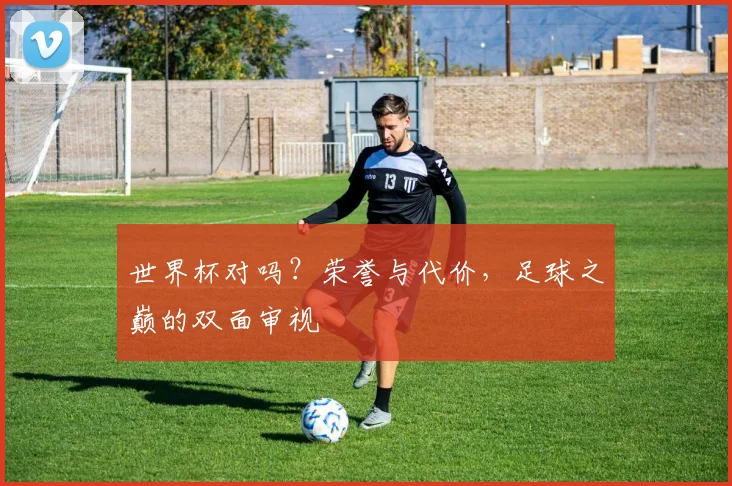 世界杯对吗?荣誉与代价,足球之巅的双面审视